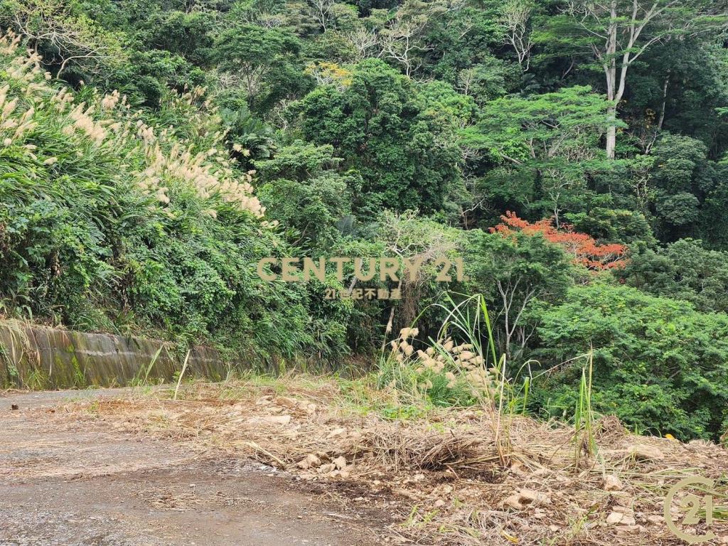 太麻里超視野原保農地
