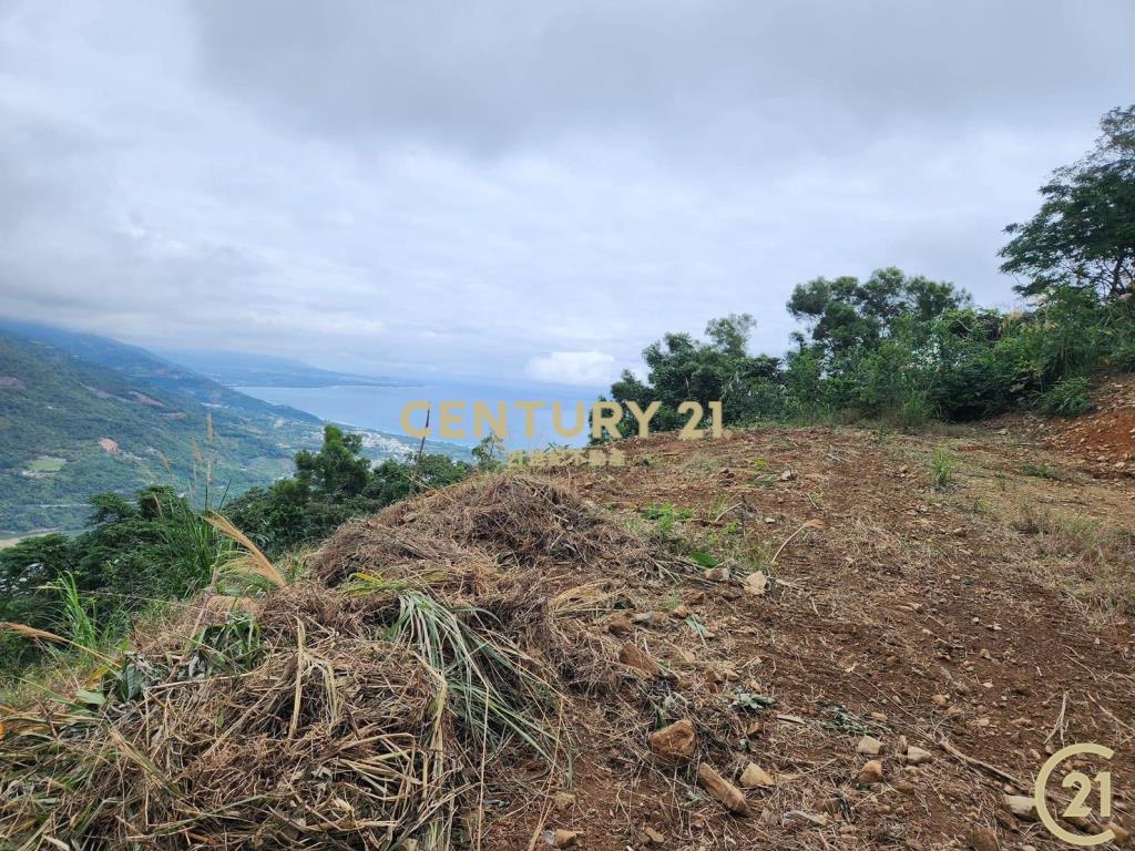 太麻里超視野原保農地