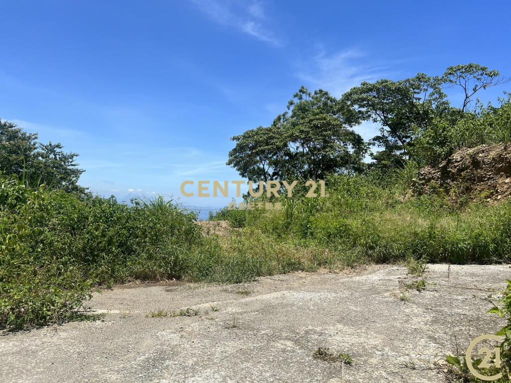 太麻里超視野原保農地