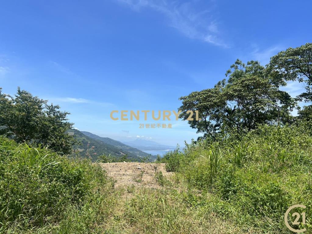 太麻里超視野原保農地