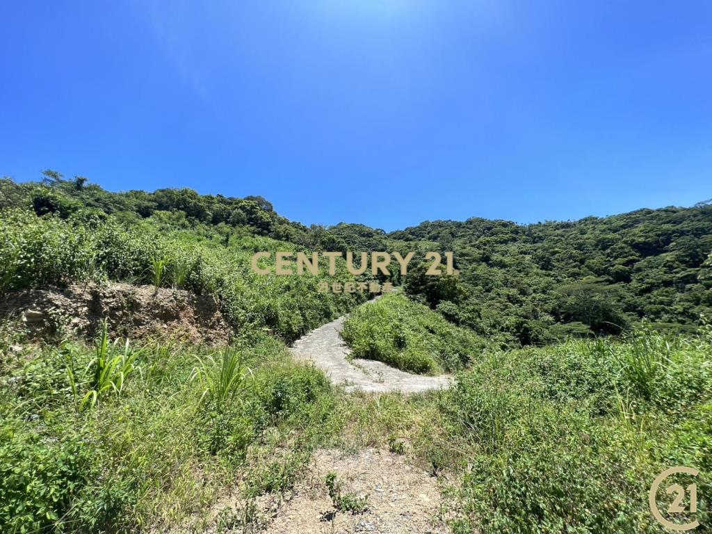 太麻里超視野原保農地