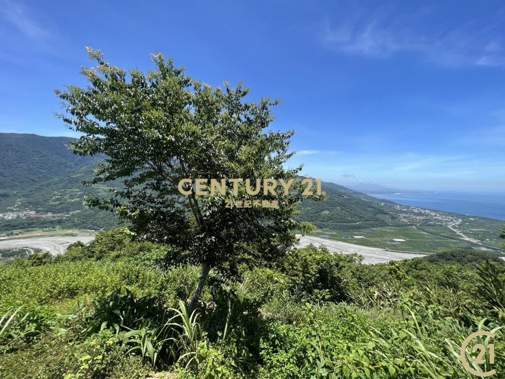 太麻里超視野原保農地