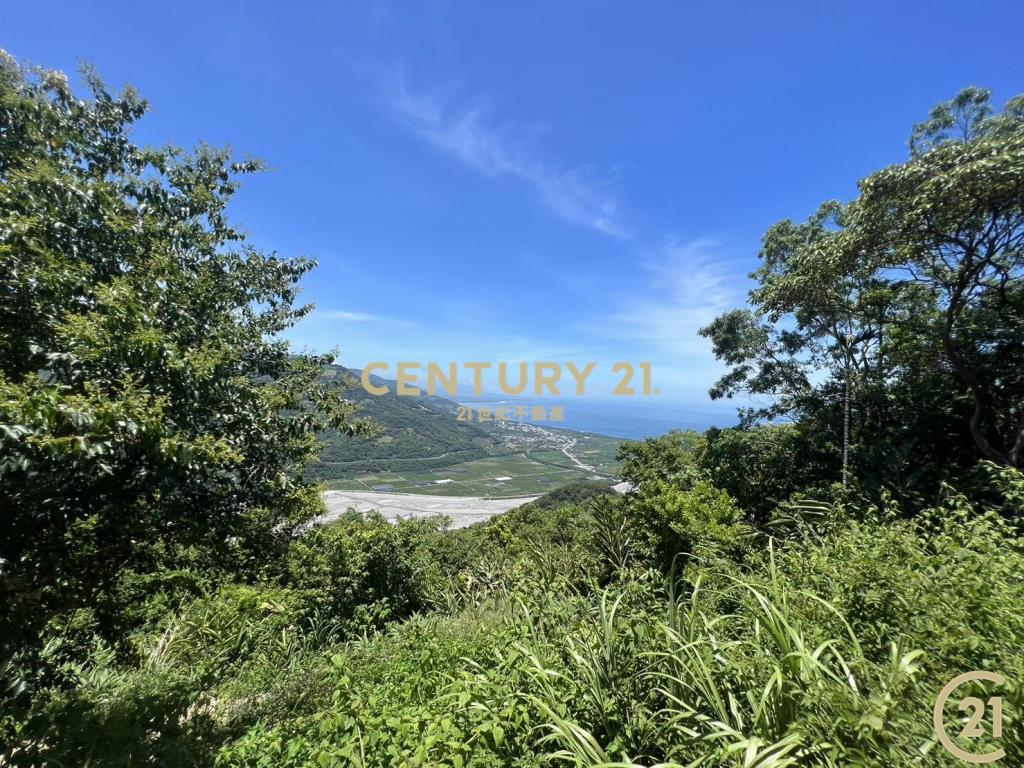 太麻里超視野原保農地