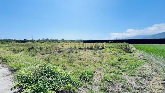 開發隊便宜農地