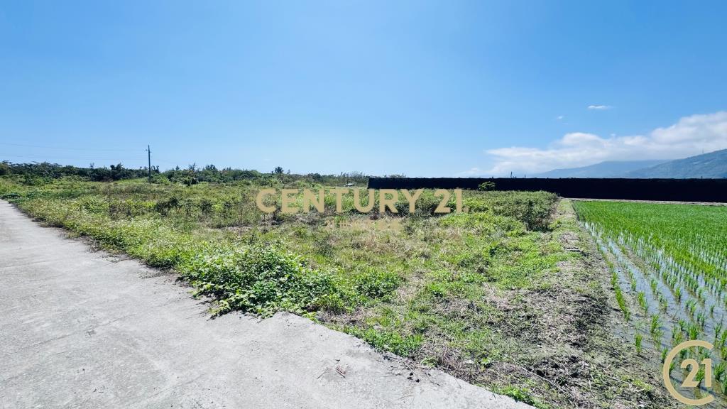 開發隊便宜農地