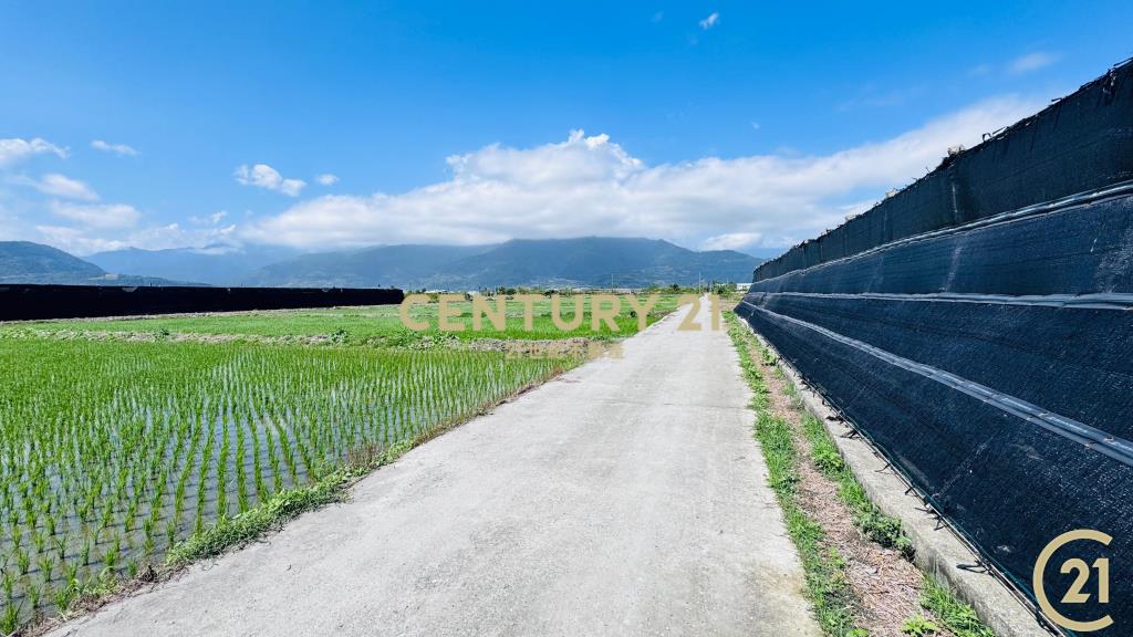 開發隊便宜農地