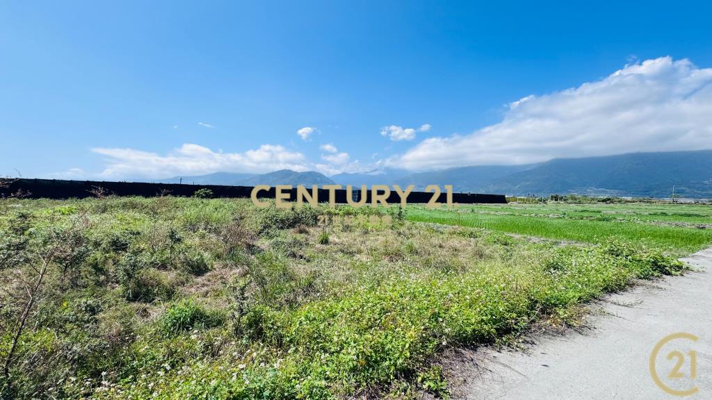 開發隊便宜農地