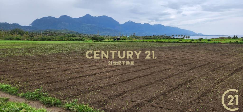 加路蘭大筆美農地