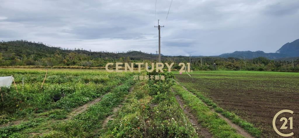 加路蘭大筆美農地