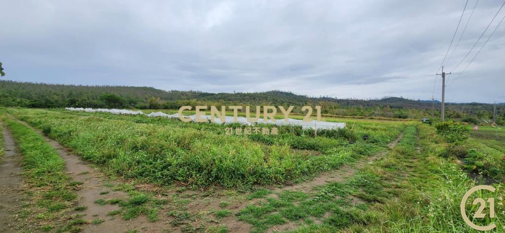 加路蘭大筆美農地