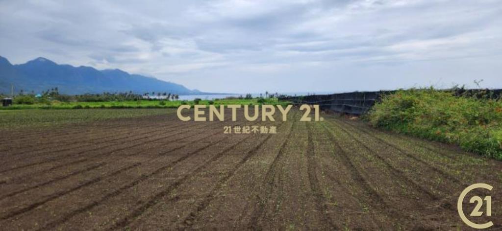 加路蘭大筆美農地