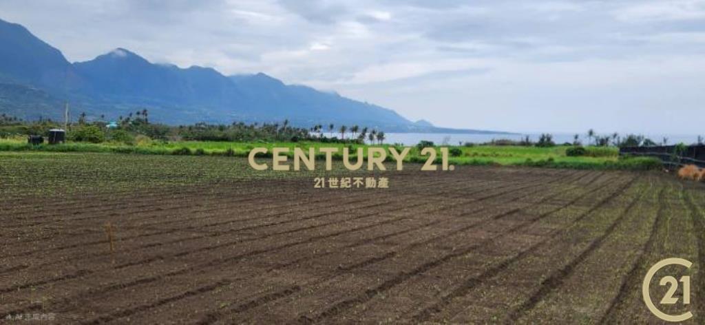 加路蘭大筆美農地