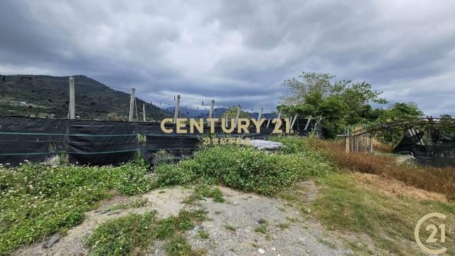 利嘉1甲1大面寬農地