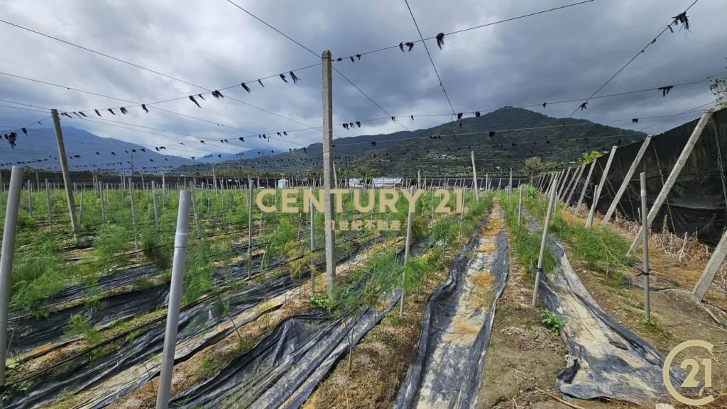 利嘉1甲1大面寬農地