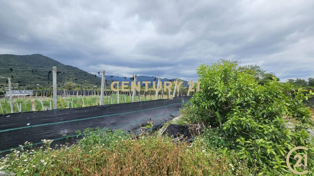 利嘉1甲1大面寬農地