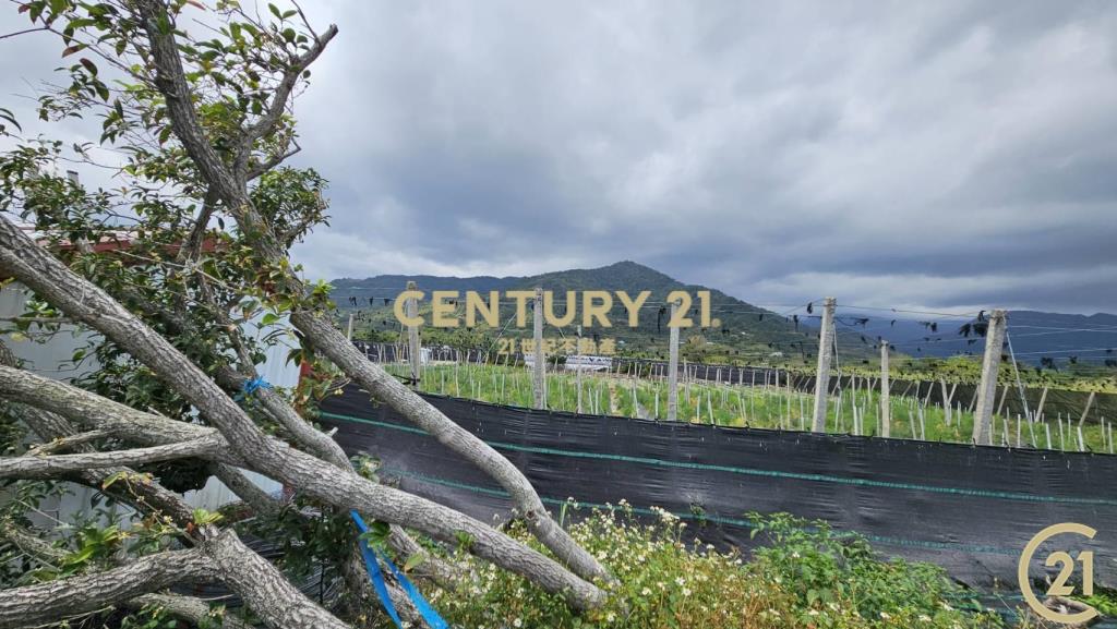 利嘉1甲1大面寬農地