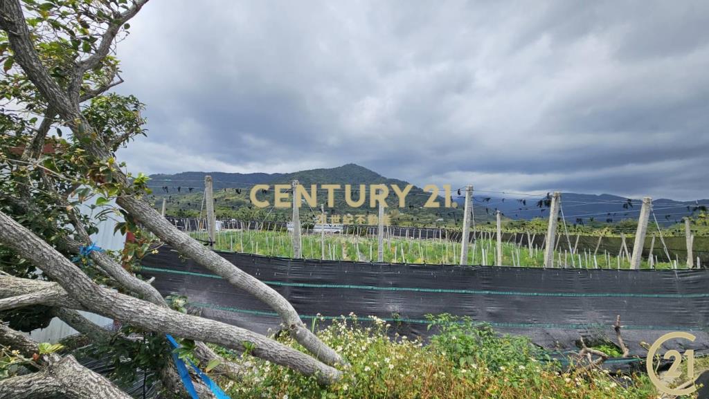 利嘉1甲1大面寬農地