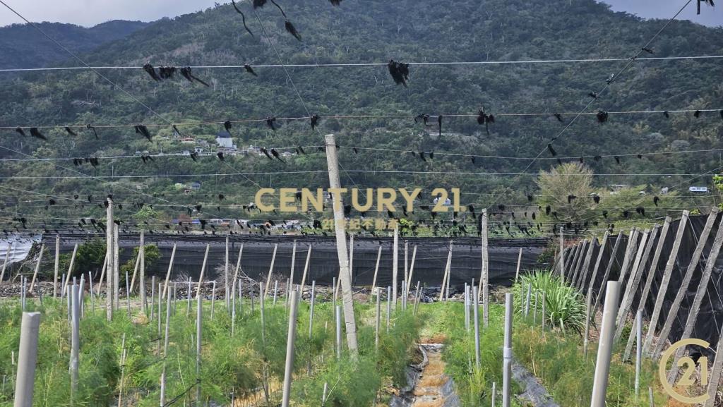 利嘉1甲1大面寬農地