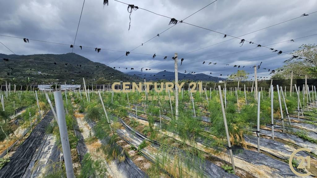 利嘉1甲1大面寬農地