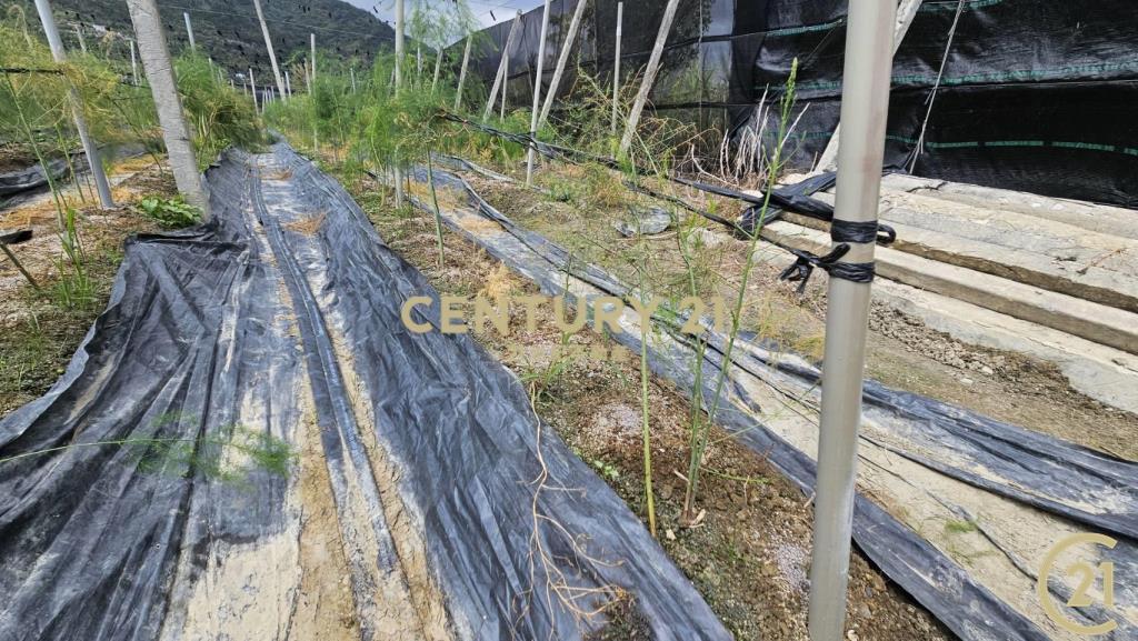 利嘉1甲1大面寬農地