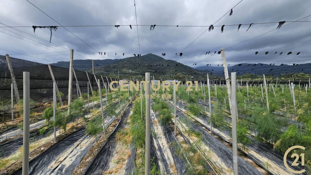 利嘉1甲1大面寬農地