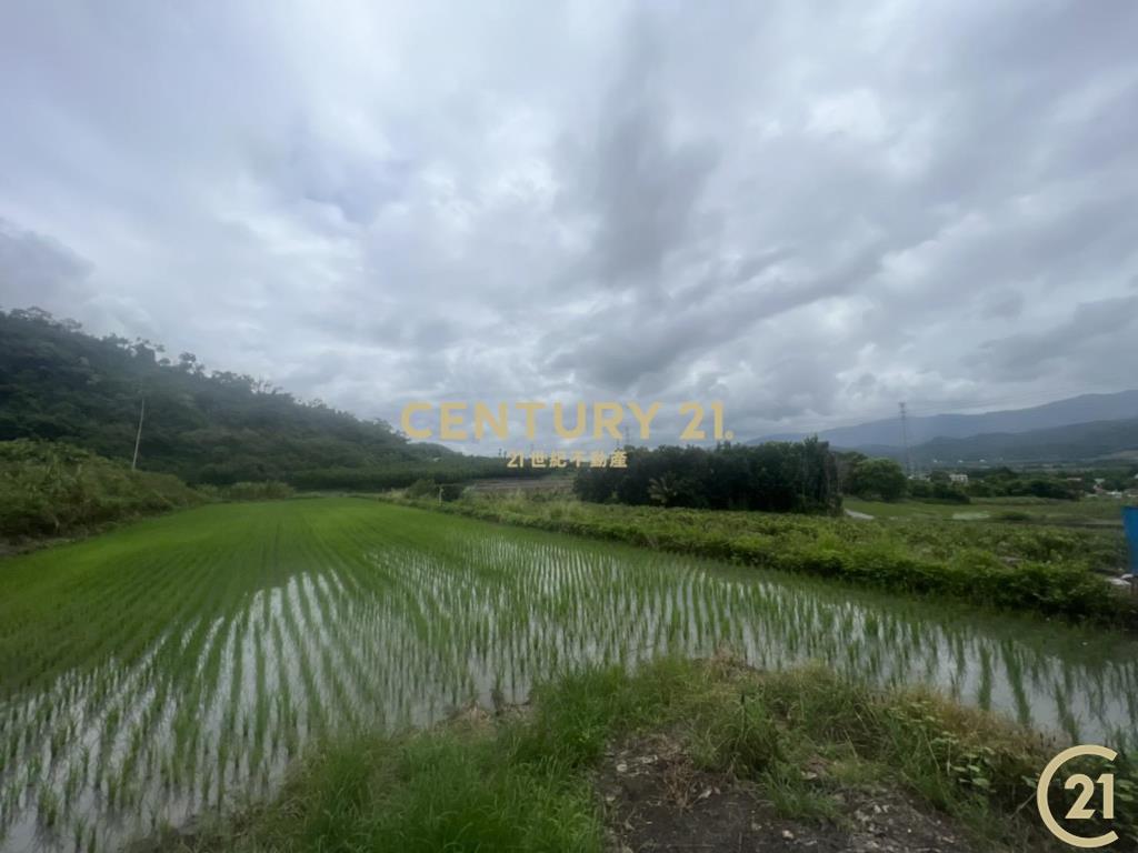 關山月野小資農地