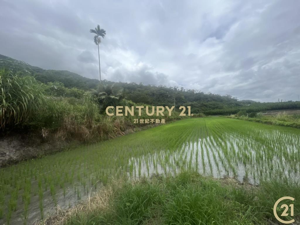 關山月野小資農地