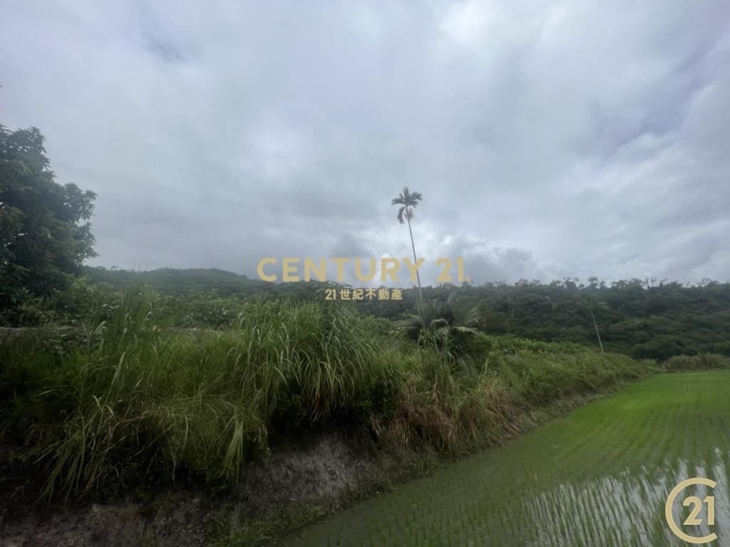 關山月野小資農地