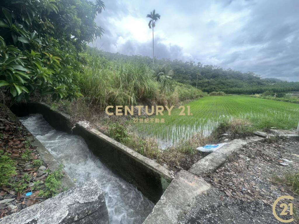 關山月野小資農地