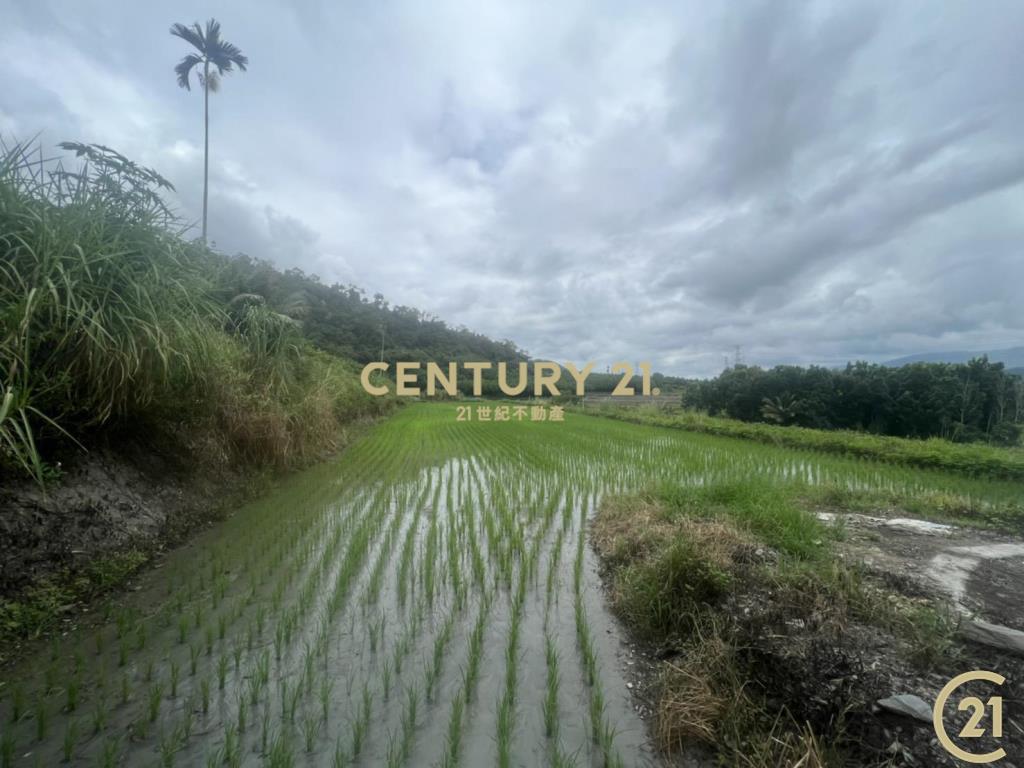 關山月野小資農地
