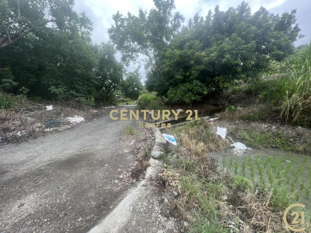 關山月野小資農地