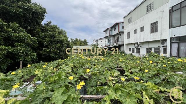 瑞里方正建地