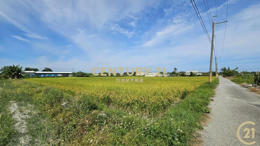 開發隊大面寬農地