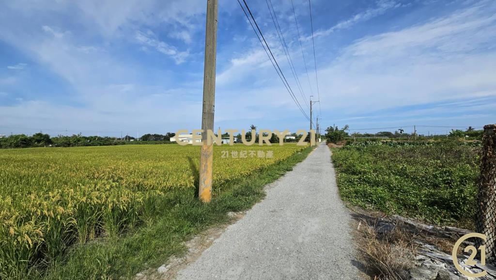 開發隊大面寬農地