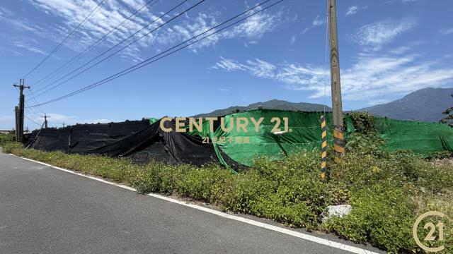 新園溫室荖葉旁農地