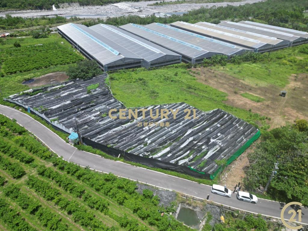 新園溫室荖葉旁農地