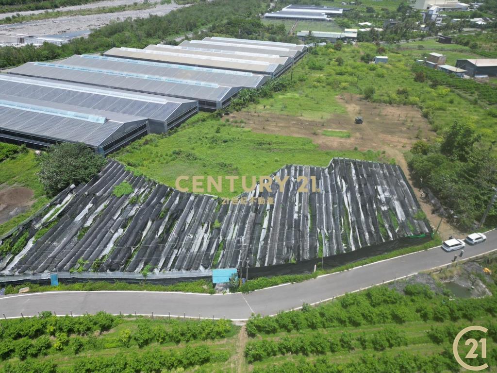新園溫室荖葉旁農地