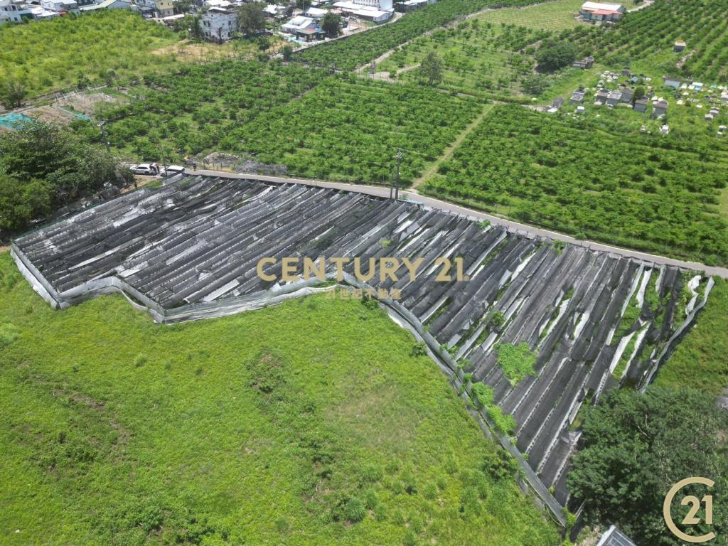 新園溫室荖葉旁農地