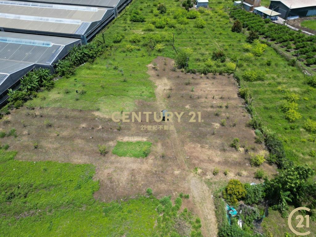 新園6分7農地