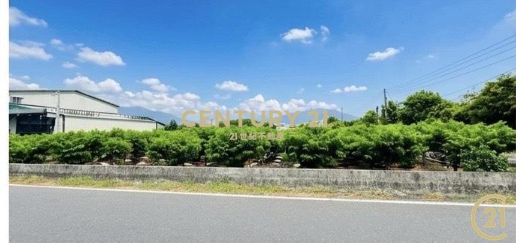 豐年路正路邊都計內農地