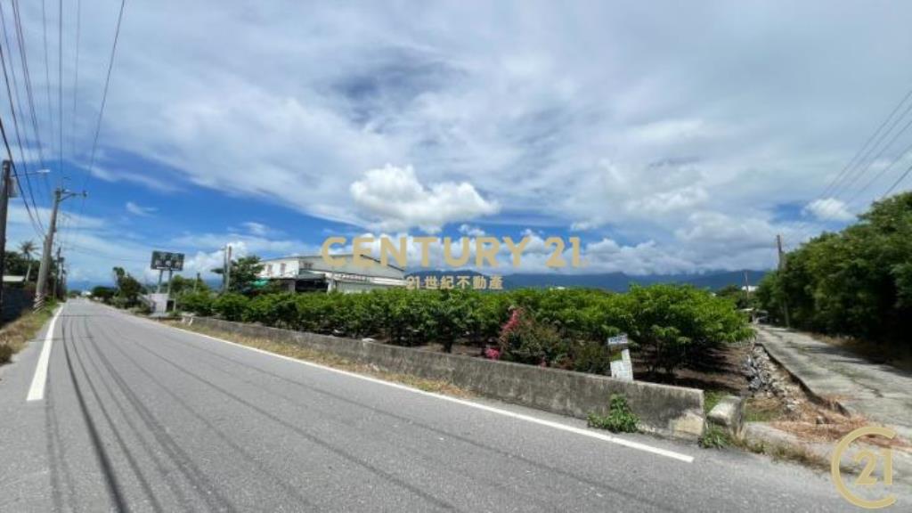 豐年路正路邊都計內農地