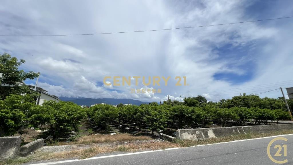 豐年路正路邊都計內農地