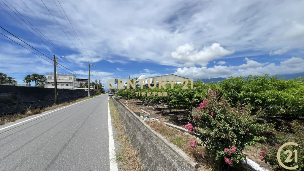 豐年路正路邊都計內農地