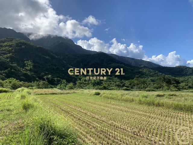 長濱真柄望海農地