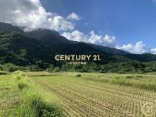 長濱真柄望海農地