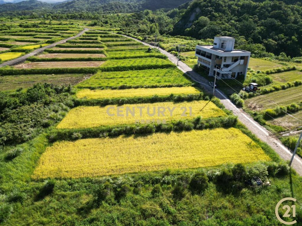長濱真柄望海農地