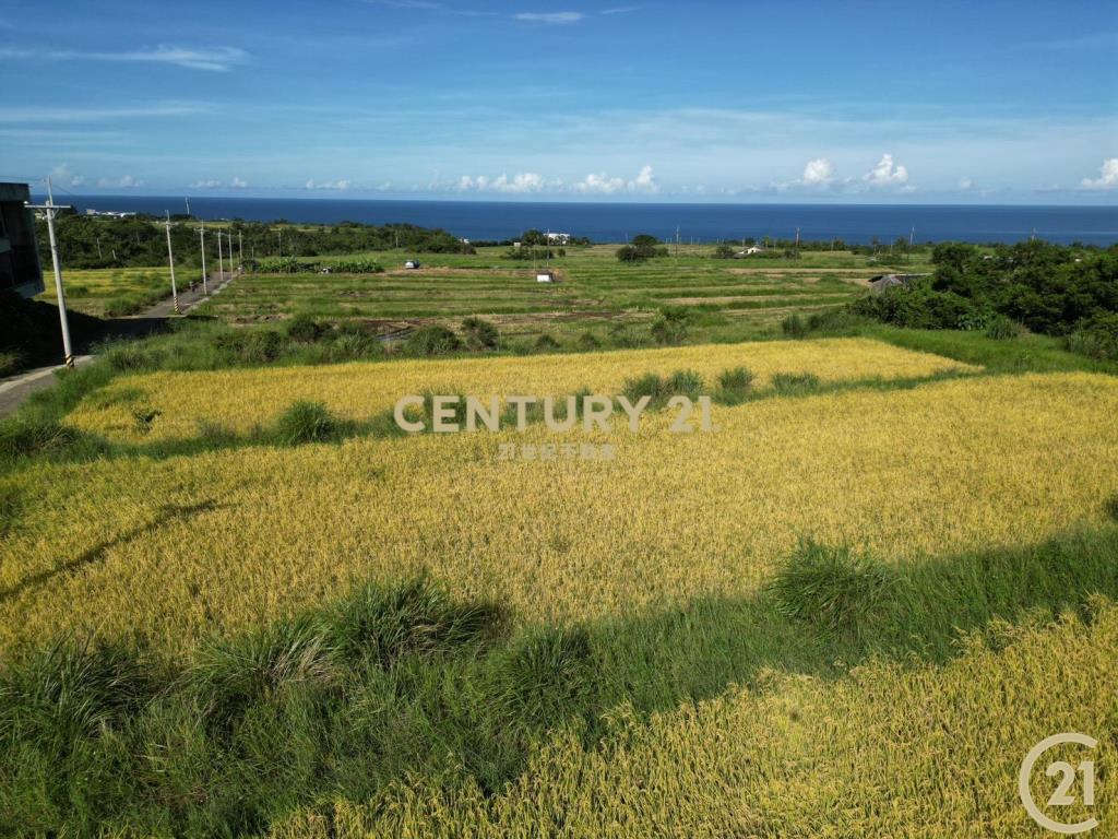 長濱真柄望海農地