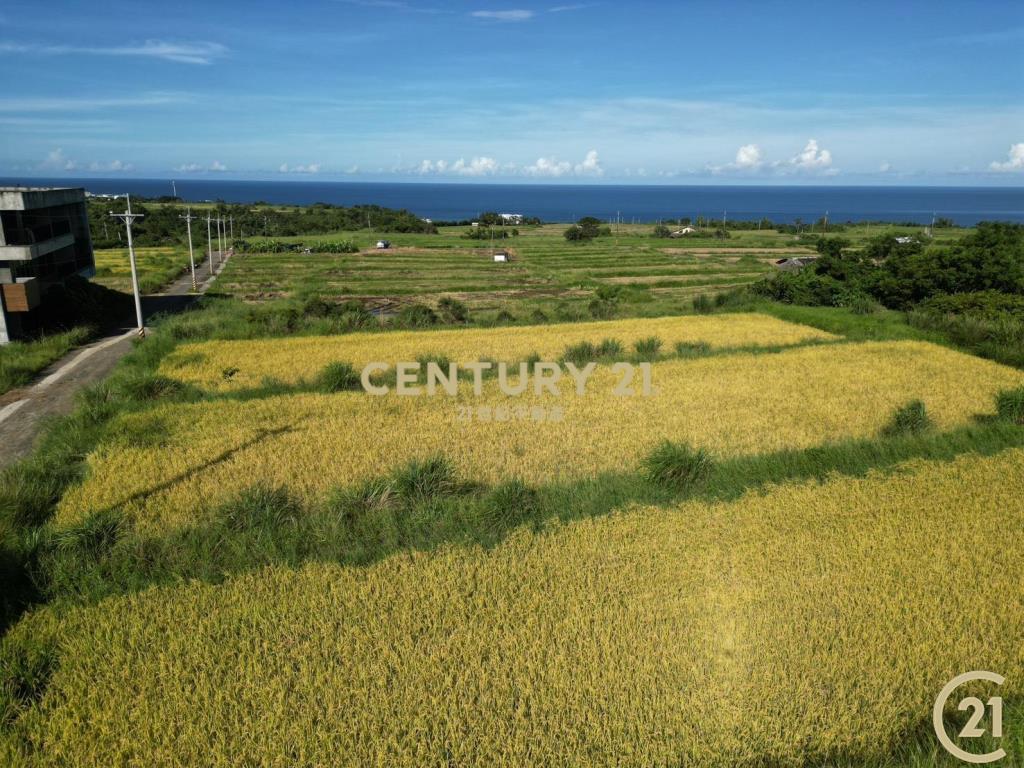 長濱真柄望海農地