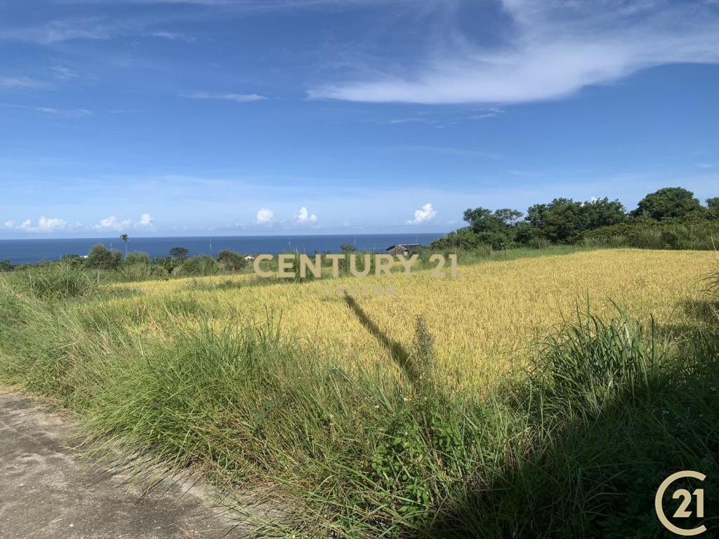 長濱真柄望海農地