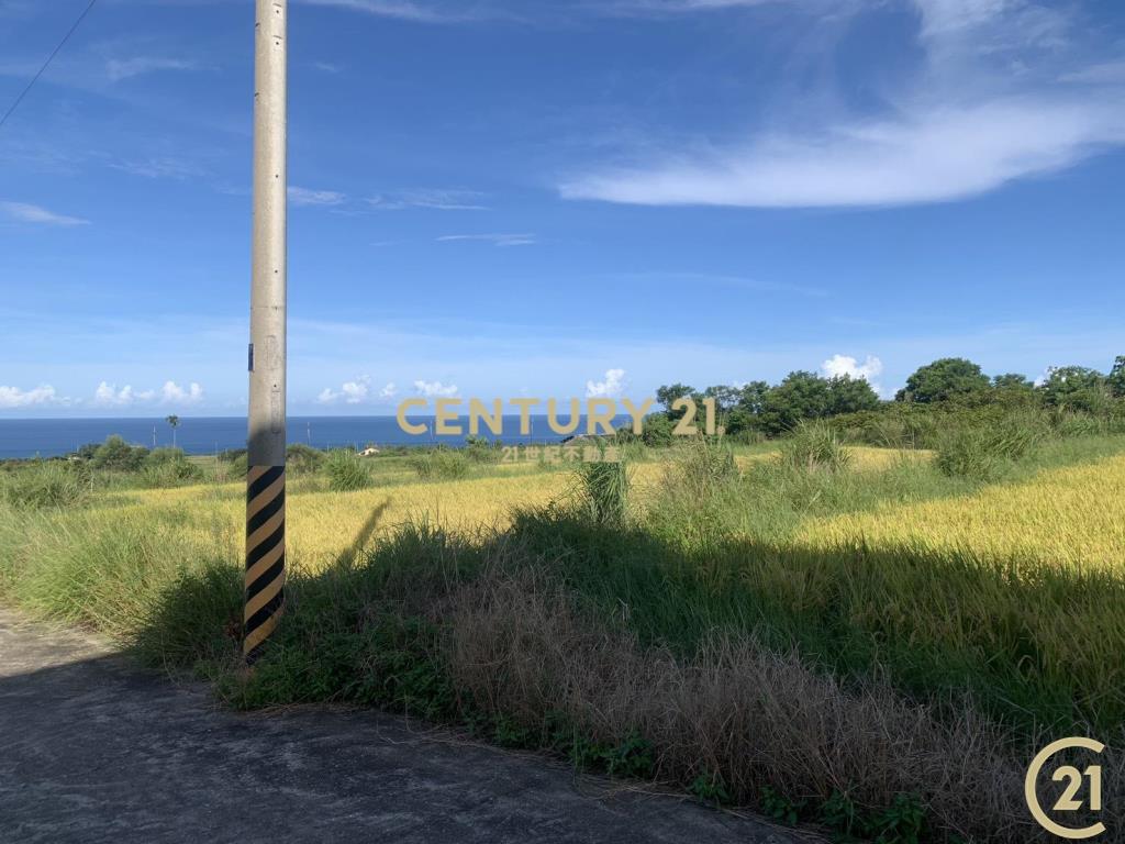 長濱真柄望海農地